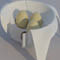 egg-cooker-dish